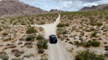 Çölde yoldan giden 4x4'lük otomobilin havadan görünümü. Joshua Tree Milli Parkı. Güneydoğu Kaliforniya'daki Amerikan Milli Parkı. Kurak çölde SUV sürüş.
