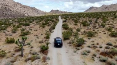 Çölde yoldan giden 4x4'lük otomobilin havadan görünümü. Joshua Tree Milli Parkı. Güneydoğu Kaliforniya'daki Amerikan Milli Parkı. Kurak çölde SUV sürüş.