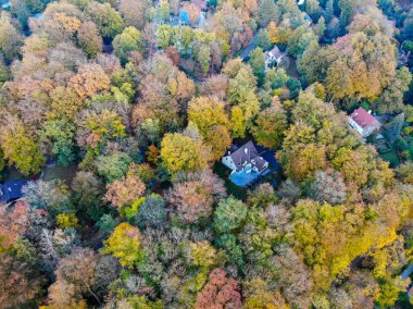 Walloon Brabant kırsalında ev villaları ile sonbahar sezonunda orman havadan görünümü ve renkler. Belçika