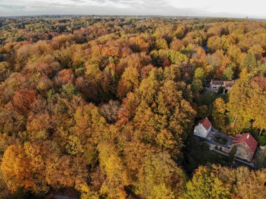 Güzel turuncu ve kırmızı sonbahar ormanı, villaile turuncu tepelerde birçok ağaç. Belçika, Valon Brabant. 