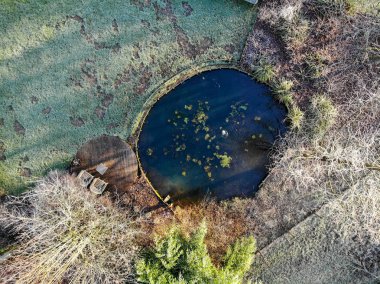 Sonbahar mevsimi ve renkler sırasında güzel bahçe havadan görünümü. Büyük yeşil çimen ve tress, su küçük pound ile güzel bir bahçe Manzara Görünümü.