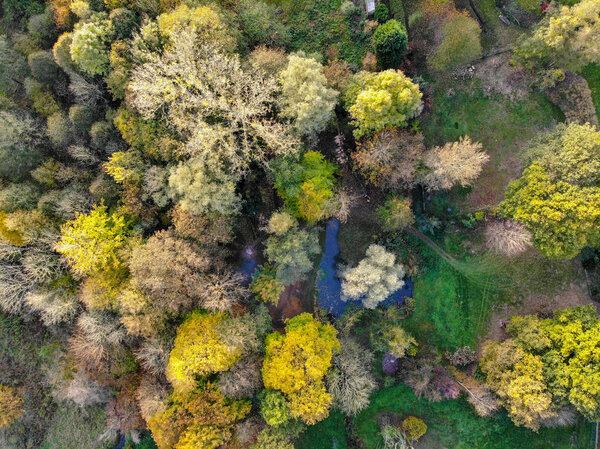 Aerial view of beautiful garden during autumn season and colors. Scenic View of a beautiful garden with a large green grass and tress, little pound of water.