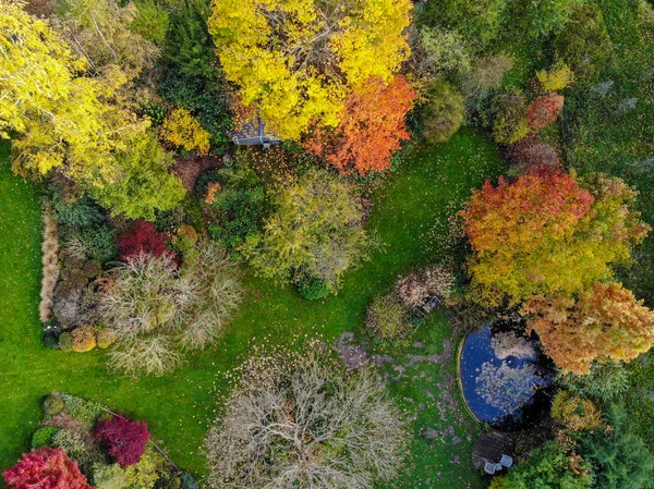 秋の季節と色の間の美しい庭園の航空写真 大きな緑の草とトレス 水の小さなポンドと美しい庭園の風光明媚な景色 — ストック写真