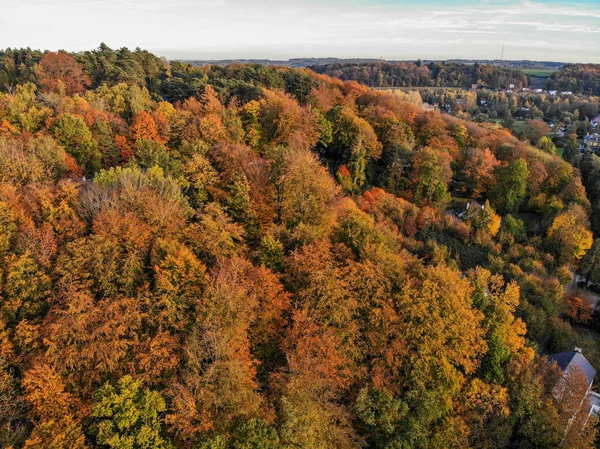 Beautiful orange and red autumn forest, many trees on the orange hills with villas. Belgium, Walloon Brabant.