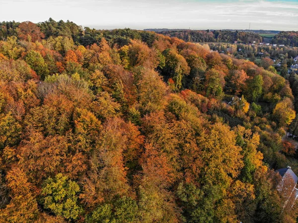 Beautiful orange and red autumn forest, many trees on the orange hills with villas. Belgium, Walloon Brabant.