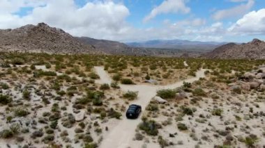 Çölde yoldan giden 4x4'lük otomobilin havadan görünümü. Joshua Tree Milli Parkı. Güneydoğu Kaliforniya'daki Amerikan Milli Parkı. Kurak çölde suv sürüyor. California, Amerika Birleşik Devletleri