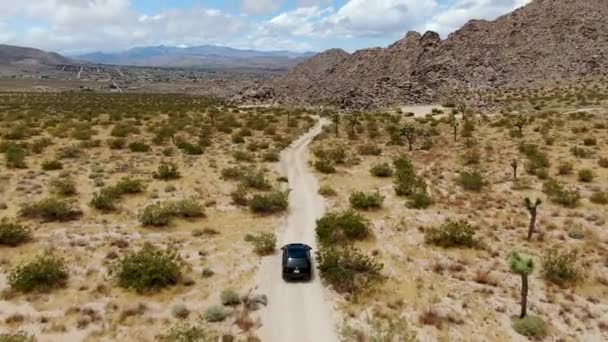 Flygbild 4X4 Bil Kör Road Öknen Joshua Tree Nationalpark American — Stockvideo