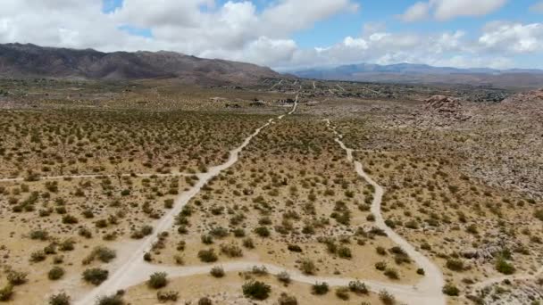 Vista Aérea Del Camino Tierra Vacío Medio Del Árido Desierto — Vídeos de Stock