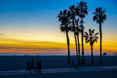 Santa Monica Beach, Los Angeles, California avuç içi ile günbatımı görünümü. Abd. Sahilde gün batımı palmiye ağaçları. Renkli alacakaranlık gökyüzünde siluet palmiye ağaçları.