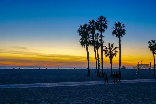 Vista Del Atardecer Con Palmeras Santa Monica Beach Los Ángeles —  Fotos de Stock