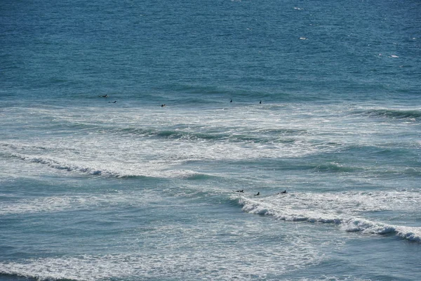 Male surfers paddling to the wave in Oceanside in North San Diego, California, USA. Travel destination in the South West Coast famous for surfer.