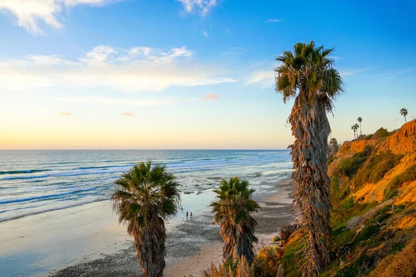 Splendida Spiaggia Vicino Alla Scogliera Con Grandi Palme Cielo Blu — Foto Stock