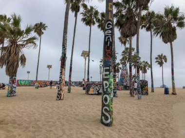 Venedik plajında palmiye ağacı üzerinde Graffiti ile yok. Kaliforniya, ABD