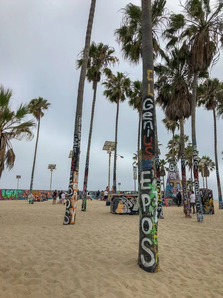 Una Palma Venice Beach Distrutta Con Dei Graffiti California Stati — Foto Stock