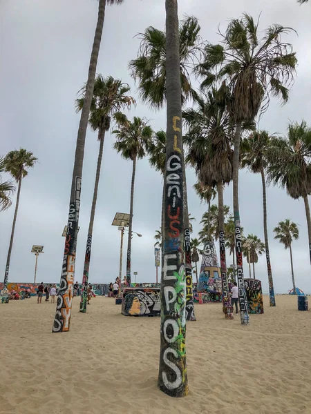 Una Palma Venice Beach Distrutta Con Dei Graffiti California Stati — Foto Stock