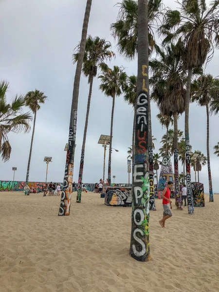 Una Palma Venice Beach Distrutta Con Dei Graffiti California Stati — Foto Stock