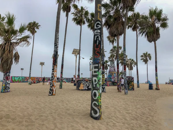 Una Palma Venice Beach Distrutta Con Dei Graffiti California Stati — Foto Stock