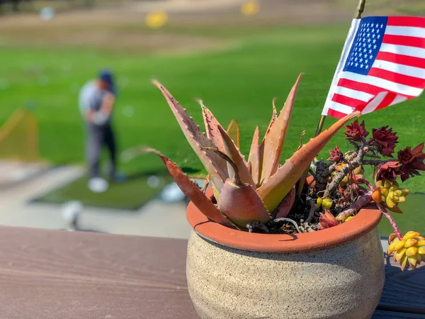 Amerikan Bayrakları Arka Planda Golfçü Ile Vatansever Çiçek Saksı Amerikan — Stok fotoğraf