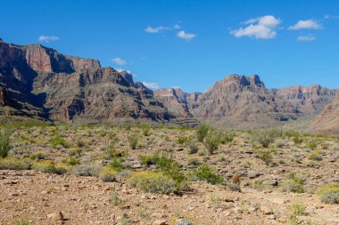 Güneşli bir gün boyunca Grand Canyon Milli Parkı pitoresk manzara. Arizona, Amerika Birleşik Devletleri. Ünlü seyahat hedef.