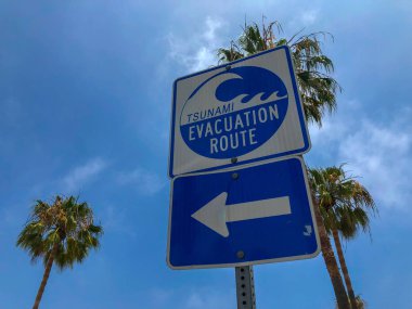 Venice Beach Tsunami tahliye rota işareti, Kaliforniya, ABD. Palmiye ağaçları ile mavi bir gökyüzü arka plan üzerinde bir tsunami tehlikesi tahliye rota.