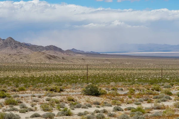 Endless Desert Straight Road Next Joshua Tree Park Usa Long — Stock Photo, Image