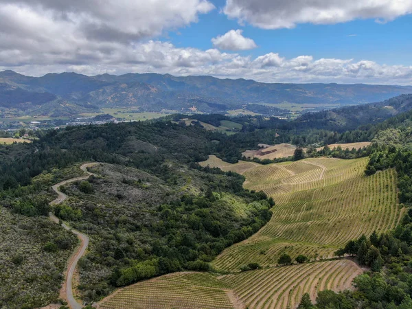 Vista Aérea Paisagem Vinícola Vale Napa Durante Temporada Verão Condado — Fotografia de Stock