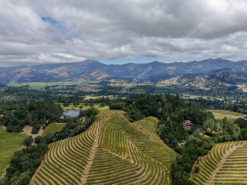 Vista aérea del paisaje del viñedo del Valle de Napa durante la