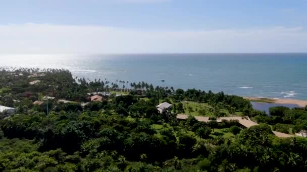 Vista Aérea Costa Tropical Con Bosque Palmeras Praia Forte Bahia — Vídeo de stock