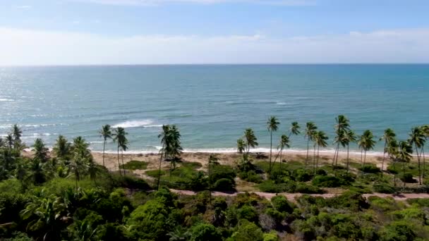 Vue aérienne de la plage de sable blanc tropical et de l'eau de mer turquoise claire avec de petites vagues et une forêt de palmiers. Praia do Forte, Bahia, Brésil. Concept tropical de voyage 