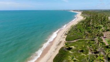 Tropikal beyaz kumlu plaj ve küçük dalgalar ve palmiye ağaçları ormanı ile turkuaz berrak deniz suyu havadan görünümü. Praia do Forte, Bahia, Brezilya. Seyahat tropikal kavramı