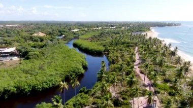 Tropikal beyaz kumlu plaj ve küçük dalgalar ve palmiye ağaçları ormanı ile turkuaz berrak deniz suyu havadan görünümü. Praia do Forte, Bahia, Brezilya. Seyahat tropikal kavramı