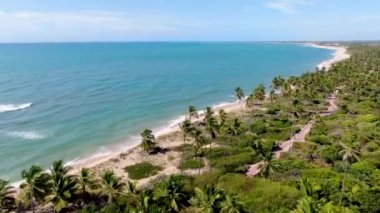 Tropikal beyaz kumlu plaj ve küçük dalgalar ve palmiye ağaçları ormanı ile turkuaz berrak deniz suyu havadan görünümü. Praia do Forte, Bahia, Brezilya. Seyahat tropikal kavramı