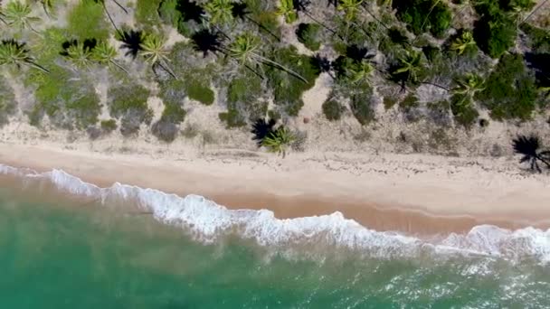 Luftaufnahme Von Tropischen Weißen Sandstrand Und Türkisklarem Meerwasser Mit Kleinen — Stockvideo
