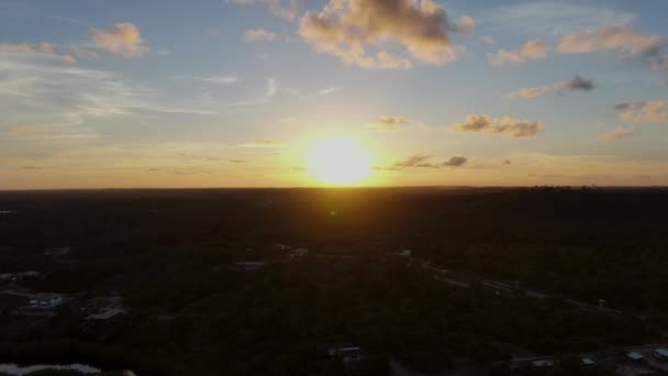 Luftaufnahme Des Tropischen Waldes Mit Palmen Die Bei Sonnenuntergang Die — Stockvideo