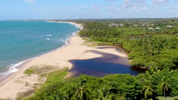 Aerial Top View River Merging Tropical White Sand Beach Turquoise — Stock Video
