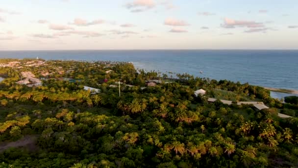 Gün Batımı Sırasında Küçük Dalgalar Palmiye Ağaçları Ormanı Ile Plaj — Stok video