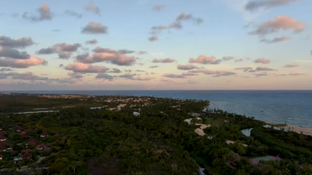 Playa Agua Mar Clara Con Pequeñas Olas Palmeras Bosque Durante — Vídeo de stock