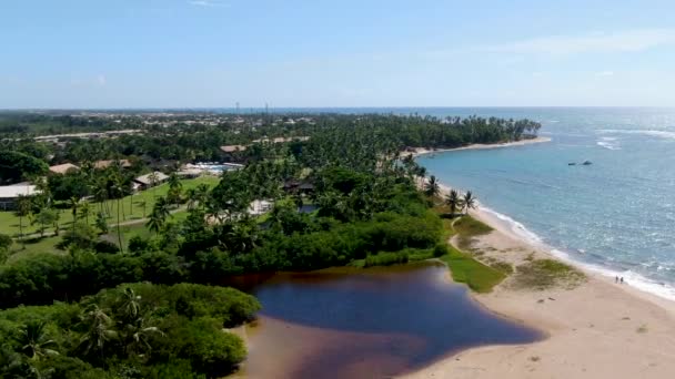 鸟的河顶视图融合到热带白色沙滩和绿松石清澈的海水与小浪和棕榈树的背景 普拉亚 多福特 巴西巴伊亚 热带旅游理念 — 图库视频影像