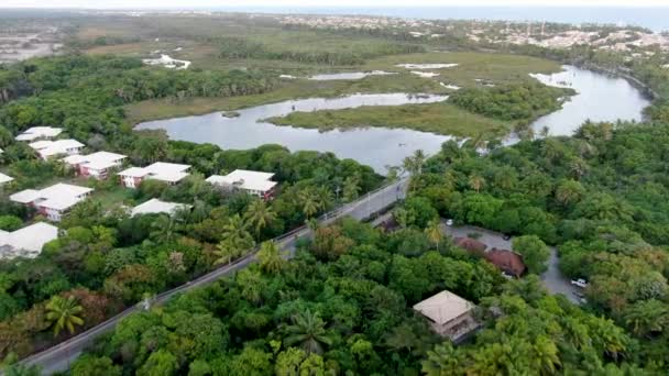 Luftaufnahme Des Tropischen Waldgebietes Mit Palmkresse Kleinen Villen Und Klarem — Stockvideo