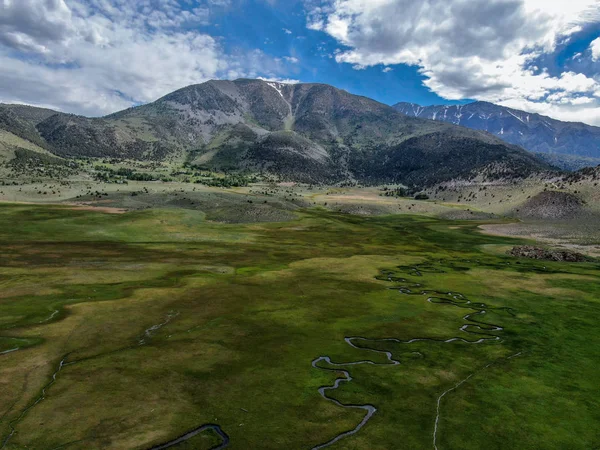 Aerial top view of green land and small curve river with mountain in the background in Aspen Springs, Mono County California, USA