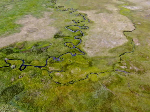 Aerial top view of green land and small curve river in Aspen Springs, Mono County California, USA