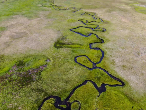 Aerial top view of green land and small curve river in Aspen Springs, Mono County California, USA