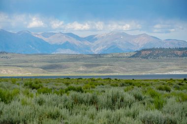 Kargaley Gölü, Doğu Sierra, Mono County, Kaliforniya, Abd'de bulutlu yaz günü boyunca arka planda adaçayı bitki ve dağ ile Yeşil vahşi arazi Panoramik görünümü. 