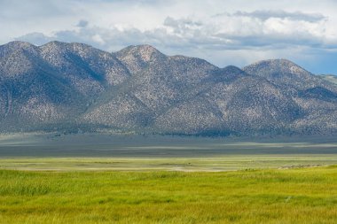 Crowley Gölü'nün yanındaki uzun vadi, Mono County, Kaliforniya. Abd. Bulutlu yaz aylarında arka planda dağ ile yeşil sulak.
