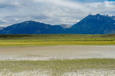 Crowley Gölü'nün yanındaki uzun vadi, Mono County, Kaliforniya. Abd. Bulutlu yaz aylarında arka planda dağ ile yeşil sulak.