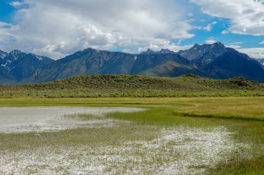 Crowley Gölü'nün yanındaki uzun vadi, Mono County, Kaliforniya. Abd. Bulutlu yaz aylarında arka planda dağ ile yeşil sulak.