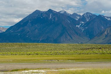 Crowley Gölü'nün yanındaki uzun vadi, Mono County, Kaliforniya. Abd. Bulutlu yaz aylarında arka planda dağ ile yeşil sulak.