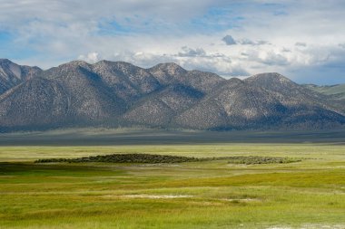 Crowley Gölü'nün yanındaki uzun vadi, Mono County, Kaliforniya. Abd. Bulutlu yaz aylarında arka planda dağ ile yeşil sulak.