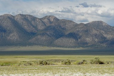 Crowley Gölü'nün yanındaki uzun vadi, Mono County, Kaliforniya. Abd. Bulutlu yaz aylarında arka planda dağ ile yeşil sulak.
