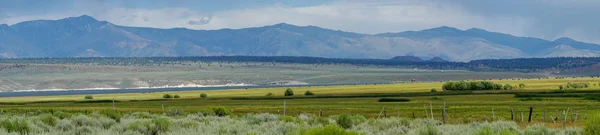 在多云的夏日 在乌萨州克劳利湖 莫诺县 加利福尼亚州 乌萨州 绿草草草植物和山脉背景的绿色野生土地全景 — 图库照片